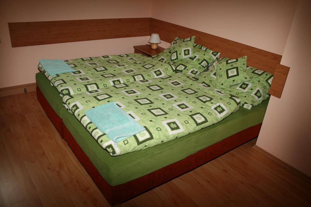 Wellness Penzion Pod Rozhlednou Kostelec nad Orlicí Cameră foto