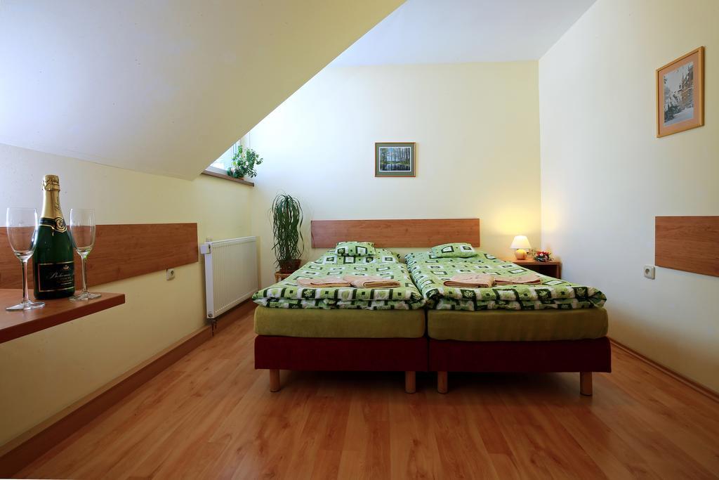 Wellness Penzion Pod Rozhlednou Kostelec nad Orlicí Cameră foto