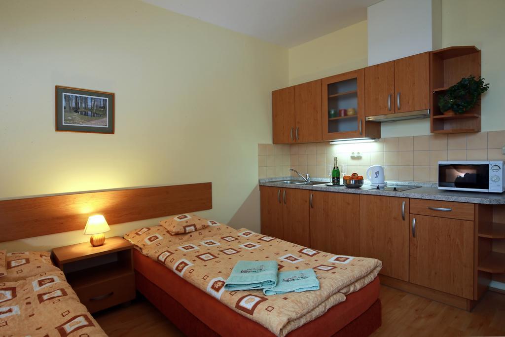 Wellness Penzion Pod Rozhlednou Kostelec nad Orlicí Cameră foto